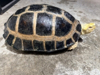 クリックで拡大画像表示