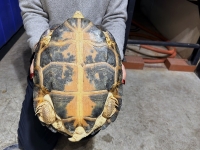 クリックで拡大画像表示