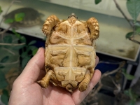 クリックで拡大画像表示