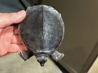 クリックで拡大画像表示