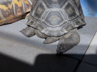 クリックで拡大画像表示