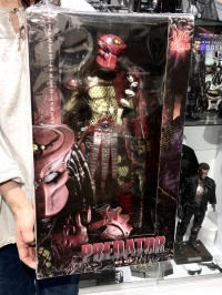 クリックで拡大画像表示