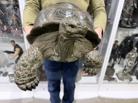 クリックで拡大画像表示