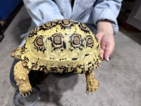 クリックで拡大画像表示