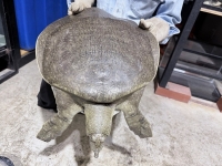 クリックで拡大画像表示