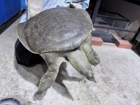 クリックで拡大画像表示