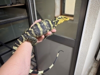 クリックで拡大画像表示