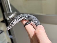 クリックで拡大画像表示