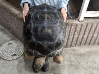クリックで拡大画像表示