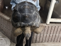 クリックで拡大画像表示