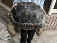 クリックで拡大画像表示